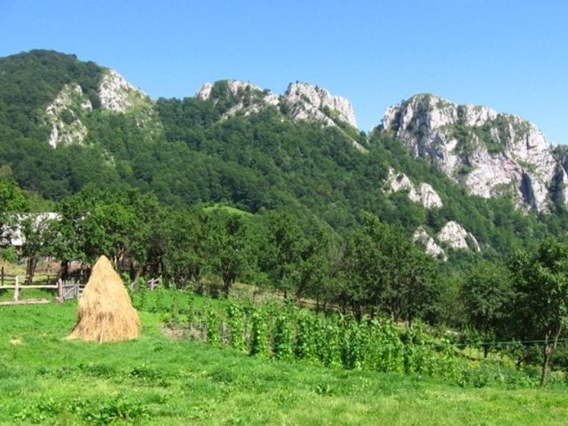 Vârful Piatra Cetii - 1233 m - Trascău