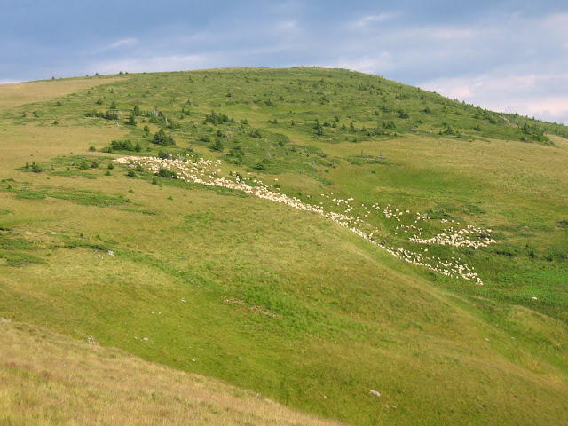Vârful Șureanu - 2059 m - Șureanu