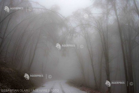 Cod galben de ceaţă şi polei în trei judeţe din Transilvania, miercuri dimineaţa