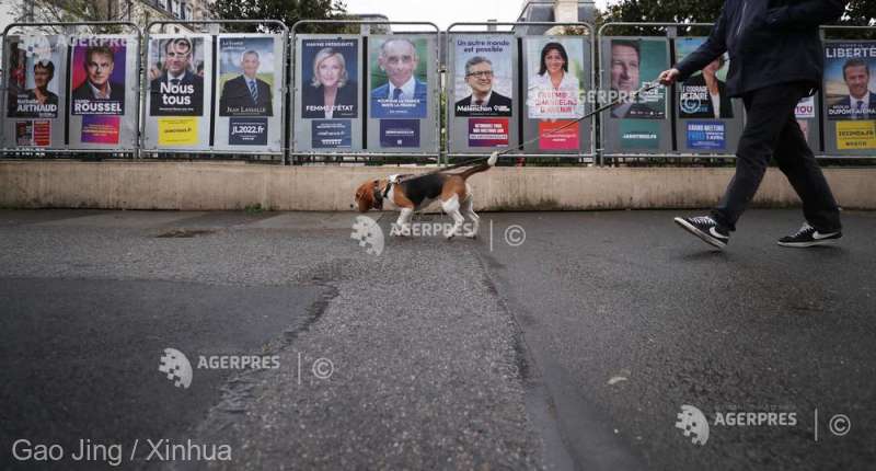 Franţa: Amendă de 750 de euro pentru proprietarii de câini care nu curăţă după aceştia
