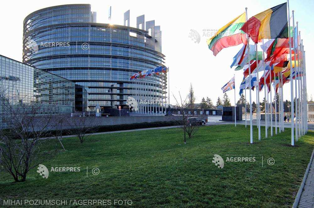 #europarlamentare2019 Familiile politice reprezentate în Parlamentul European
